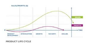 7.2 Product Life Cycle – Global Marketing In a Digital World