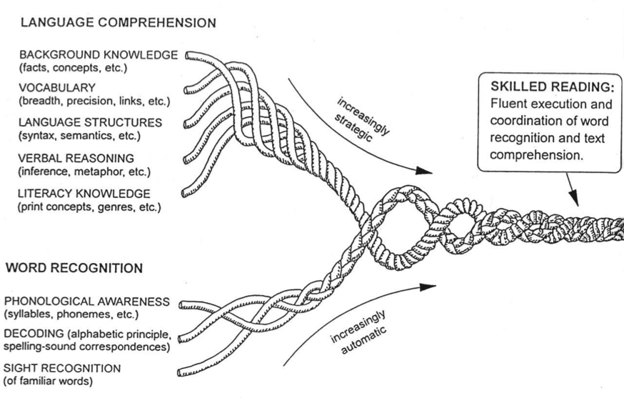 3-word-recognition-skills-one-of-two-essential-components-of-reading