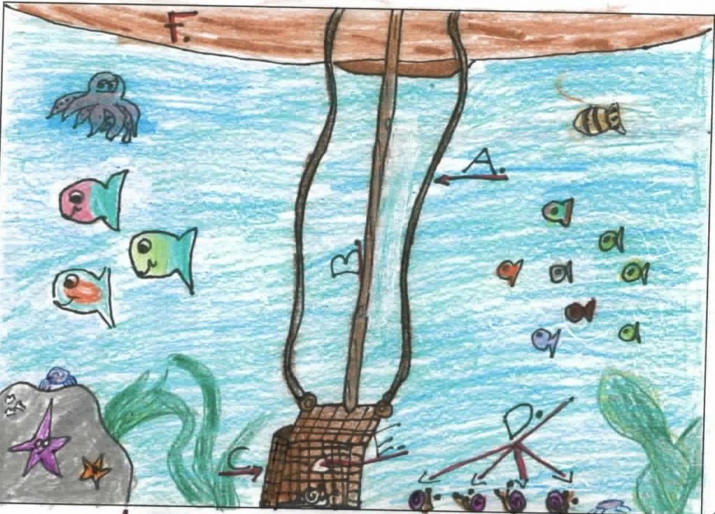 Drawing by Grade 6/7 student depicting device for harvesting dentalia