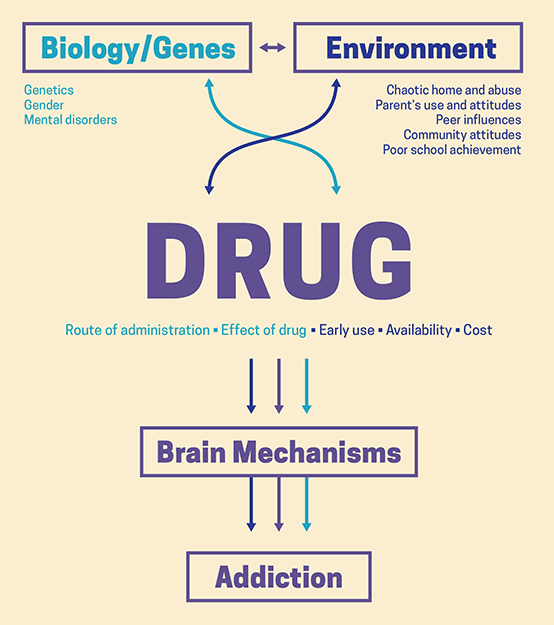 This is a graphical representation of the risk factors for drug misuse mentioned in the text.