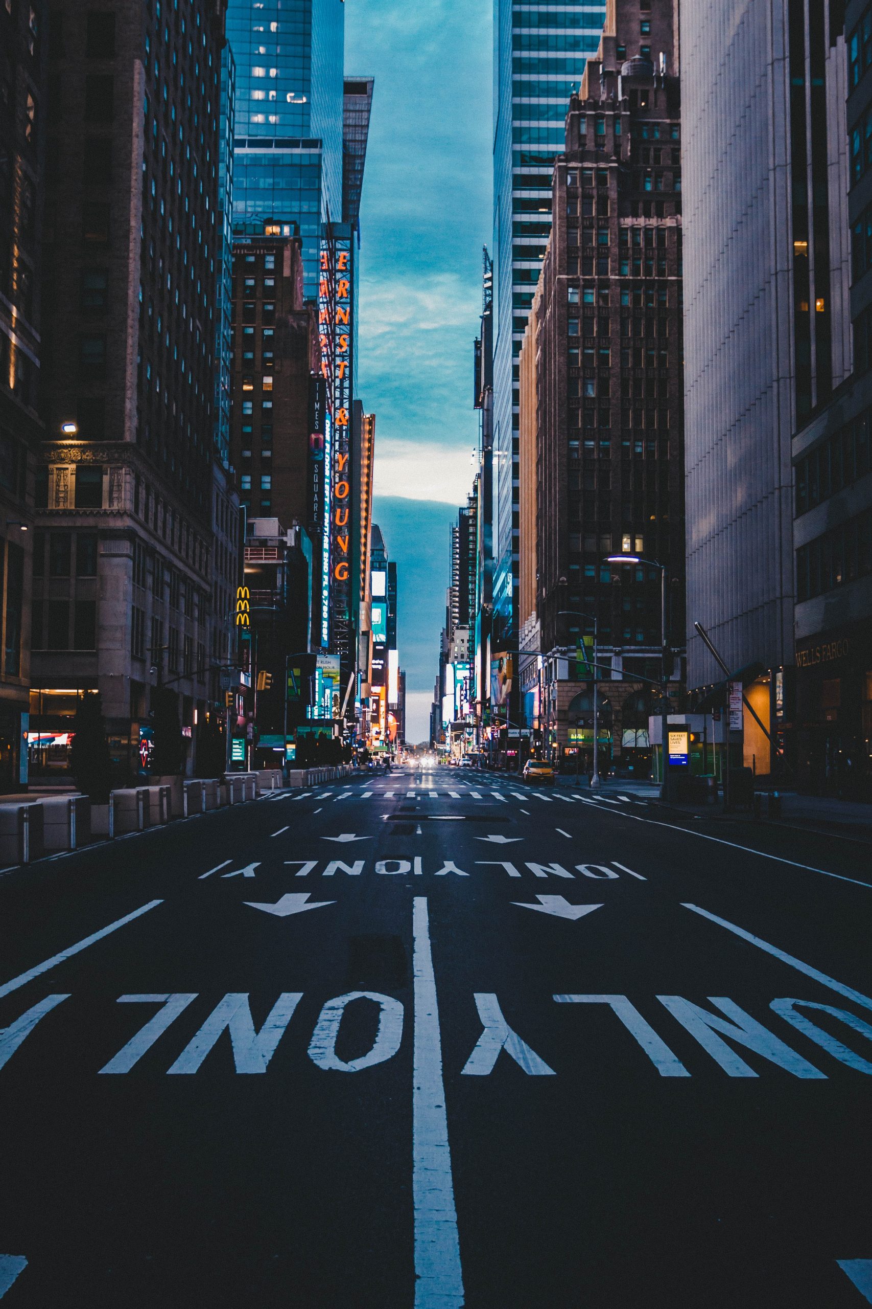 Photo by Paulo Silva on Unsplash