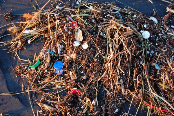 Small colorful plastic garbage on the side of a lake.