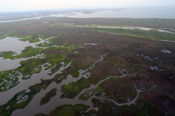 A stretch of land next to the ocean with much of it stained black.