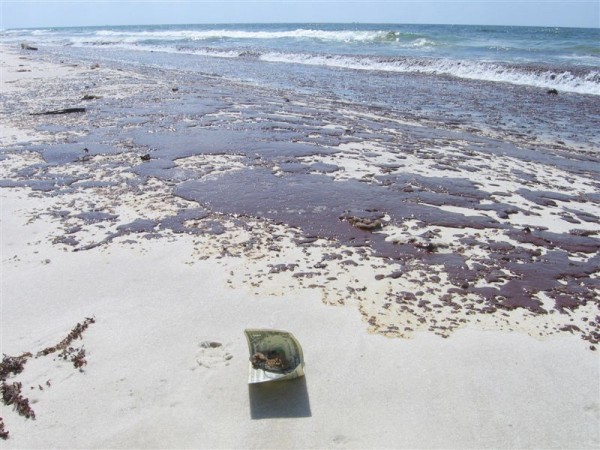 Puddles of oil on a sandy beach.