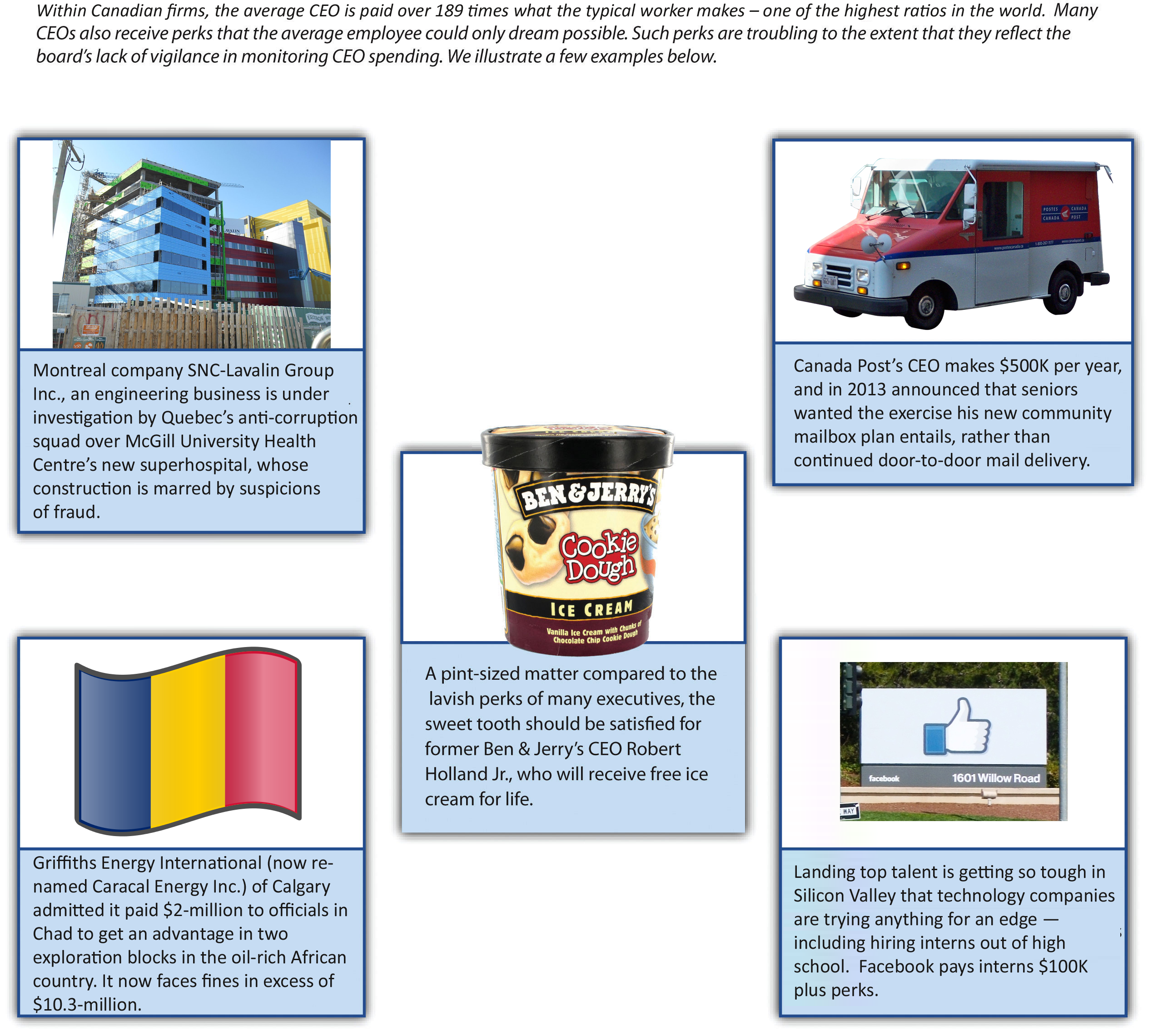 Figure 10-3: CEO Perks