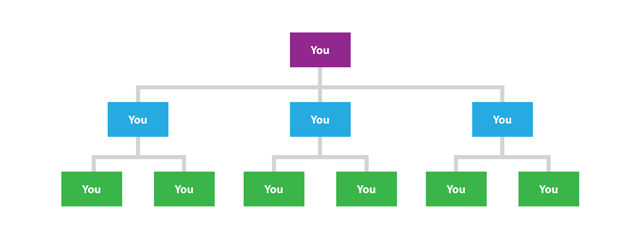 Figure 9-8: Sole Proprietor Organizational Chart