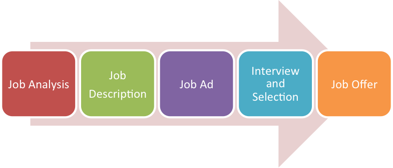 The typical stages of employee recruitment and selection. Job Analysis, Job Description, Job Ad, Interview and Selection, Job Offer.