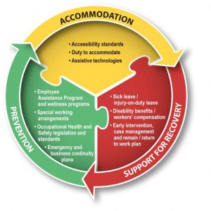 The three components of disability management are accomodation, prevention, and support for recovery.