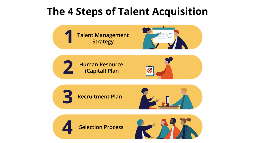 The Steps of Talent Acquisition: talent management strategy, HR plan, recruitment plan and selection process