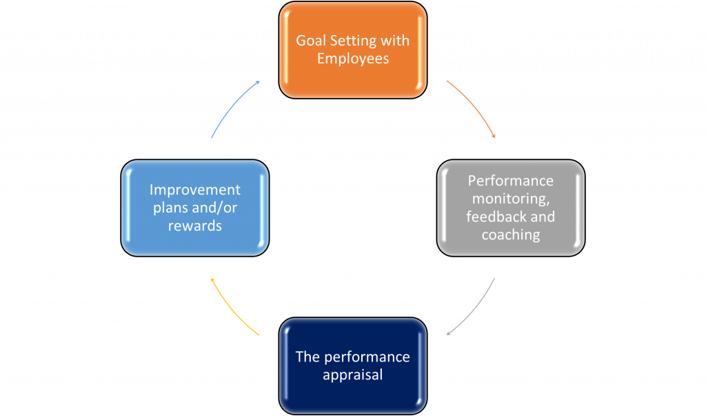 12.5 Completing and Conducting the Appraisal – Human Resources for ...