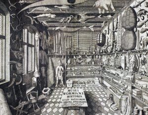 Frontispiece depicting Ole Worm’s cabinet of curiosities