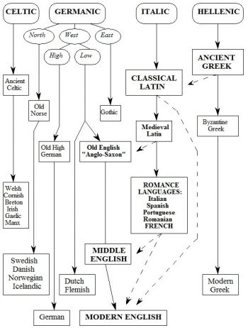 §4. The Indo-European Family of Languages – Greek and Latin Roots: Part ...