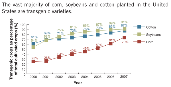 Majority of corn, soybeans and cotton planted in US are transgenic varieties