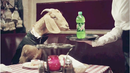 In a restaurant a server presents a Mountain Dew bottle on a plate to a goat sited at a table