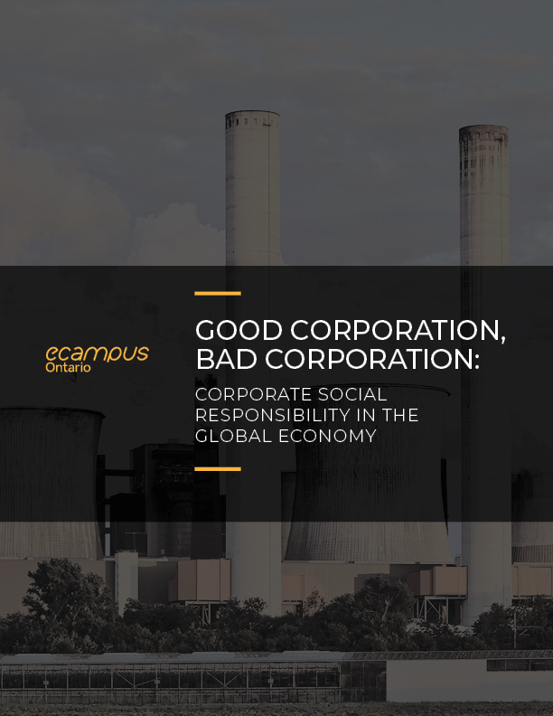 Cover image for Good Corporation, Bad Corporation: Corporate Social Responsibility in the Global Economy