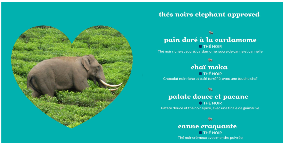 Publication Facebook comportant une Liste de thés noirs elephant approved avec une image rognée en forme de cœur d’un éléphant parmi de la verdure.