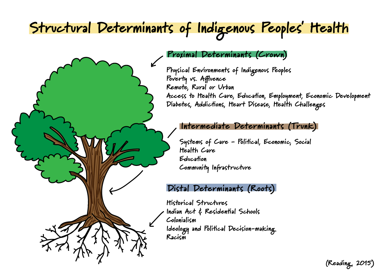 Alt text: Infographic depicting Structural Determinants of Indigenous Peoples' Health.