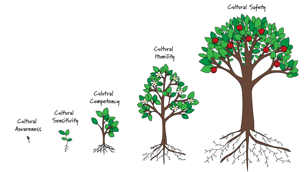 Connection 3: Understanding Cultural Safety – Wiidooktaadyang (We are ...