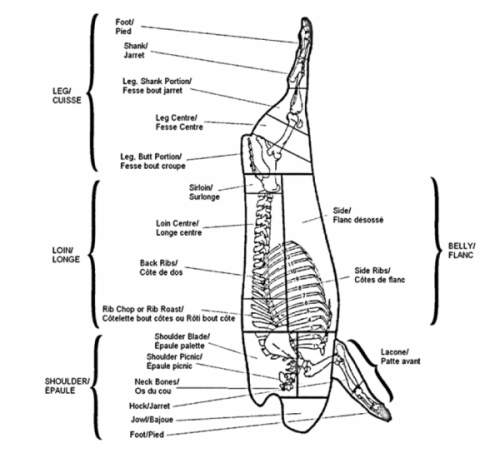 Figure 23. Pork carcass showing primal, sub-primal, and retail cuts. Used with permission of the CFIA