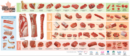 Figure 25 Pork cut chart. Image courtesy Manitoba Pork