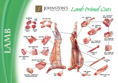Figure 28 Lamb cuts. Used with permission of Johnston’s meats.