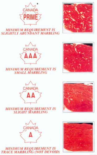 Figure 16 A grade marbling chart. Courtesy Beef Grading Centre