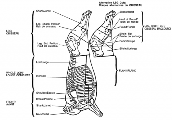 Figure 20 Veal carcass showing primal, sub-primal, and retail cuts. Used with permission of CFIA