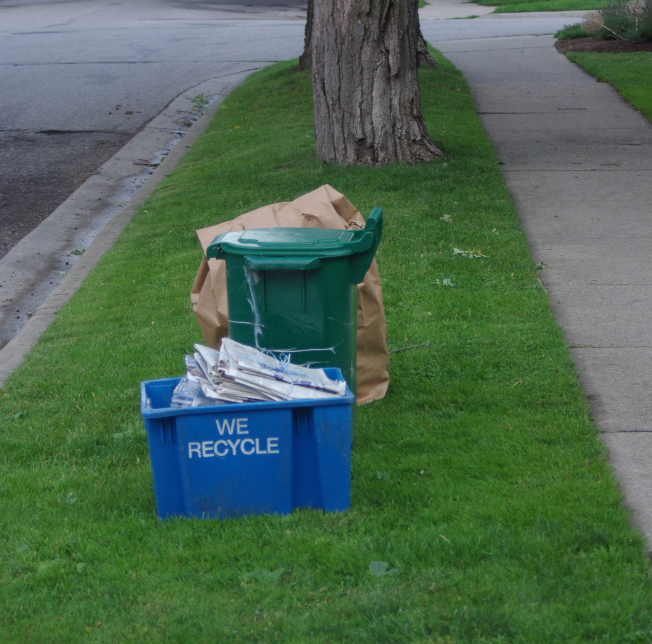 A full blue box and a green bin set out to the street for pickup.