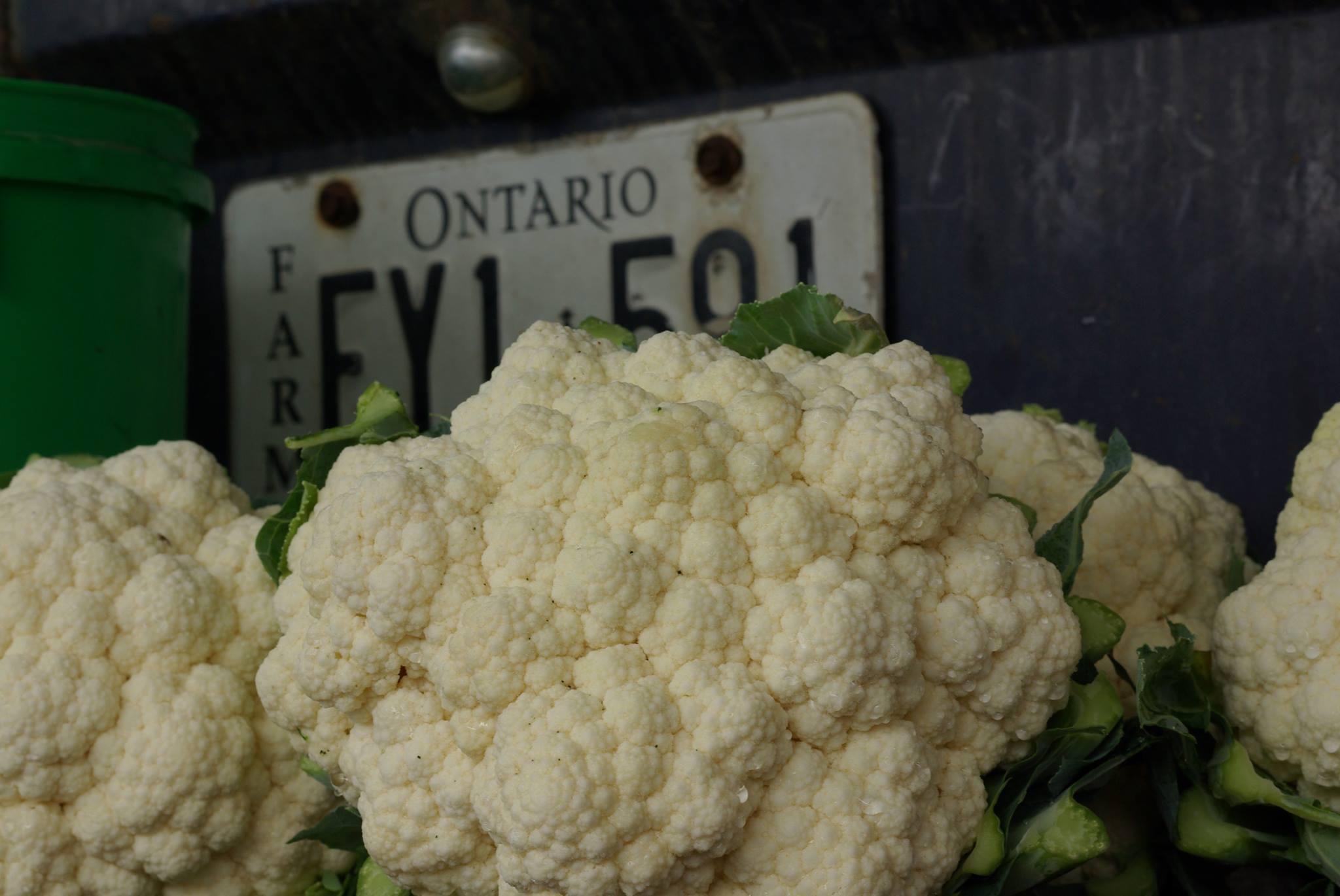 Fresh cauliflower sits on the bumper of a truck next to an Ontario licence plate.