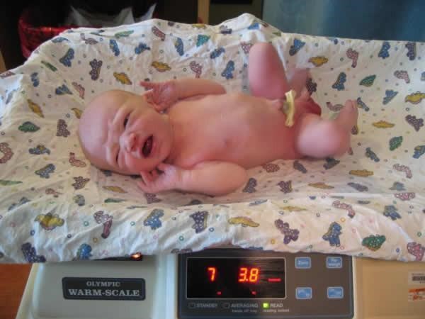 image of a newborn being weighed