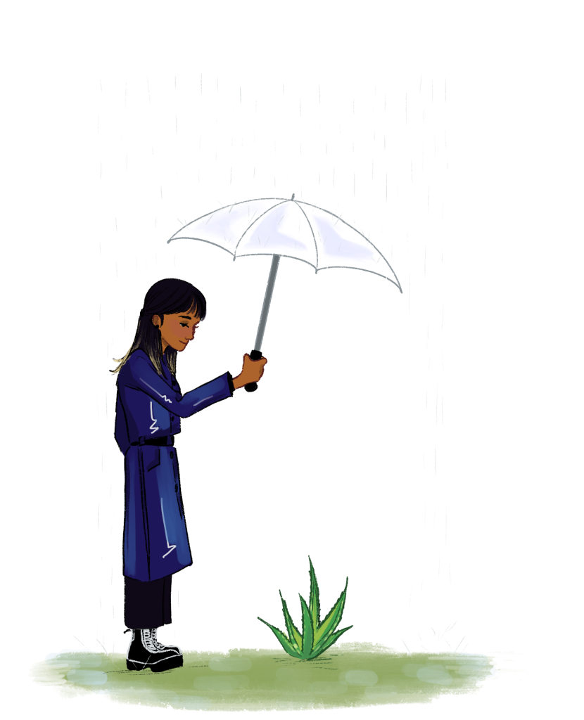 Someone holding an umbrella above a plant.