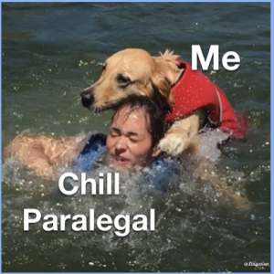 Picture of a person being pushed underwater by a golden retriever, with the person labelled "chill paralegal" and the dog labelled "Me".