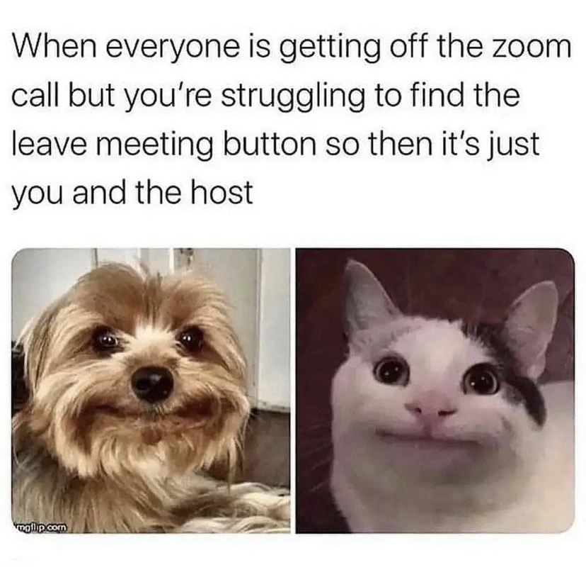 Side-by-side images of a cat and dog smiling with a caption saying "When everyone is getting off the Zoom call but you're struggling to find the leave meeting button so then it's just you and the host".