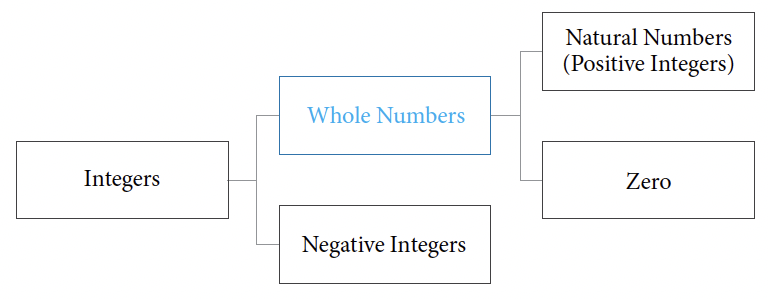 The flowchart shows that integers can be whole numbers or negative integers. Whole numbers can be natural numbers which is the same as positive integers and zero.