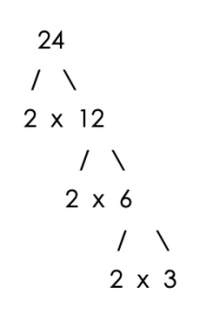 Factor tree for 24, factors are 2x2x2x3