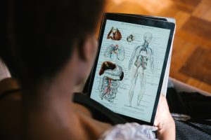 Person using an iPad to study anatomy