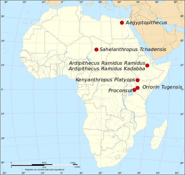 map where Sahelanthropus tchadensis are located