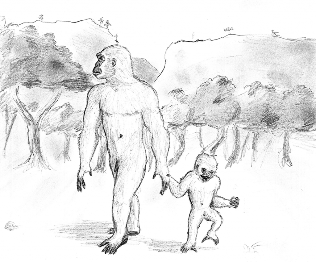 illustration of two apes holding hands