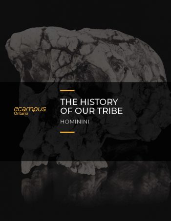 The History Of Our Tribe: Hominini – Simple Book Publishing