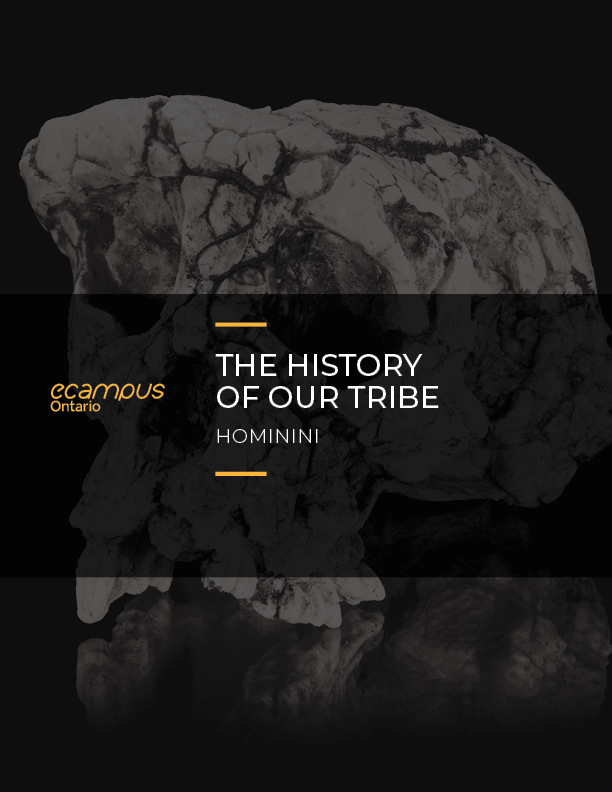 Cover image for The History of Our Tribe: Hominini