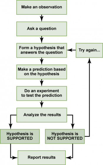 1.2 The Process of Science – Concepts of Biology-1st Canadian Edition