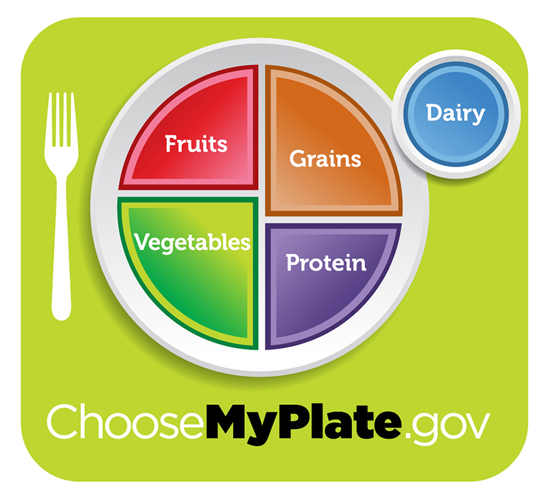 Figure 15.14.  For humans, a balanced diet includes fruits, vegetables, grains, and protein. (credit: USDA)