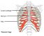 19.1 Types of Skeletal Systems – Concepts of Biology-1st Canadian Edition