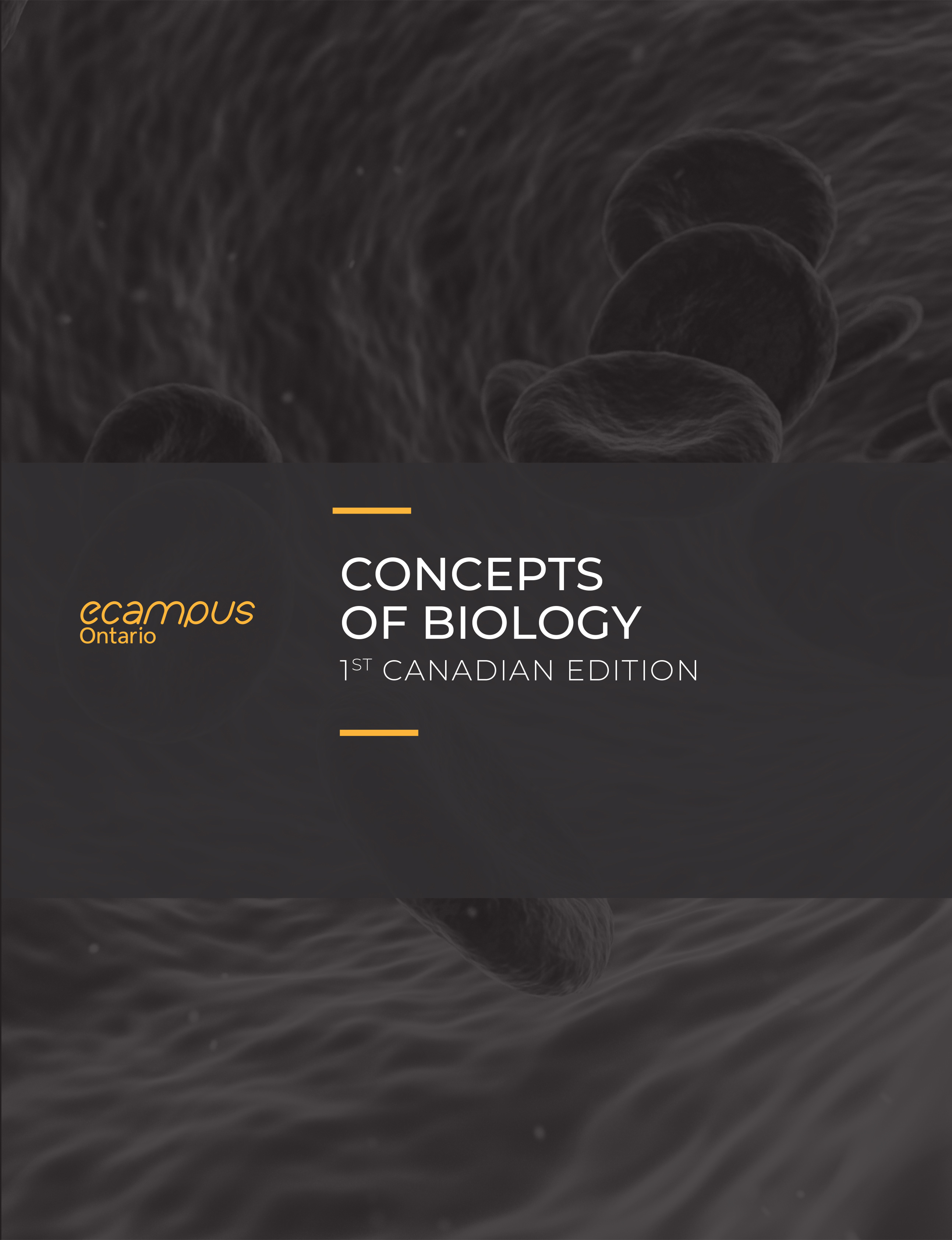 Cover image for Concepts of Biology-1st Canadian Edition