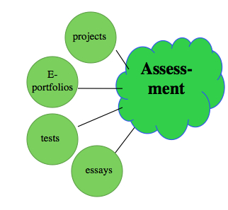 functions of assessment in learning and development