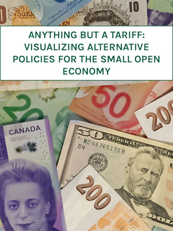 Cover image for Anything but a tariff: Visualizing alternative policies for the small open economy