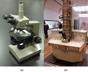 Figure 4.2 (a) La plupart des microscopes optiques d'un laboratoire de biologie universitaire peuvent grossir les cellules jusqu'à environ 400 fois et ont une résolution d'environ 200 nanomètres. (b) Les microscopes électroniques permettent un grossissement beaucoup plus important, 100 000 fois, et ont une résolution de 50 picomètres. (crédit a : modification du travail par "GcG"/Wikimedia Commons ; crédit b : modification du travail par Evan Bench)