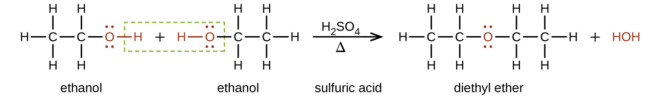 This figure shows a reaction that results in diethyl ether. The first molecule, which is labeled, “ethanol,” is a two C atom chain. The first C atom is bonded to three H atoms and a second C atom. The second C atom is bonded to a red O atom with two sets of electron dots. The O atom has a red bond to a red H atom. There is a plus sign. The next molecule, which is labeled, “ethanol,” is a red H atom with a red bond to a red O atom with two pairs of electron dots. The O atom is bonded to a C atom which is bonded to two H atoms and a second C atom. The second C atom is bonded to three H atoms. There is a green dotted box around the red H atom in the first molecule, the plus sign, and the red H and O atoms in the second molecule. To the right o the second molecule there is an arrow labeled H subscript 2 S O subscript 4 above and Greek capital delta below. The arrow is labeled, “sulfuric acid.” The resulting molecules are a C atom bonded with three H atoms and a second C atom. The second C atom is bonded to two H atoms and a red O atom. The red O atom has two sets of electron dots. The O atom is bonded to a third C atom which is bonded to two H atoms and a fourth C atom. The fourth C atom is bonded to three H atoms. This molecule is labeled, “diethyl ether.” There is a plus sign and a red H O H.