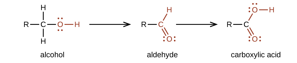 A chemical diagram with two arrows is shown. On the left, an alcohol, indicated with a C atom to which an R group is bonded to the left, H atoms are bonded above and below, and in red, a single bonded O atom with an H atom bonded to the right is shown. Following the first reaction arrow, an aldehyde is shown. This structure is represented with an R group bonded to a red C atom to which an H atom is bonded above and to the right, and an O atom is double bonded below and to the right. Appearing to the right of the second arrow, is a carboxylic acid comprised of an R group bonded to a C atom to which, in red, an O atom is single bonded with an H atom bonded to its right side. A red O is double bonded below and to the right. All O atoms have two pairs of electron dots.
