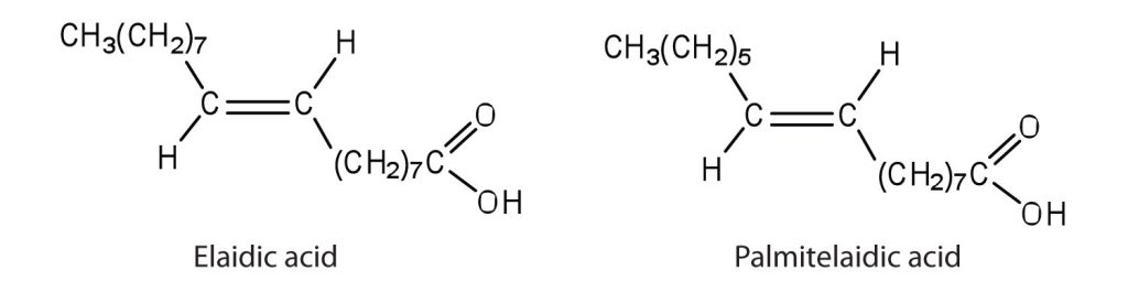 Two structures. On the left is the elaidic acid structure and on the right is the palmitelaidic acid structure